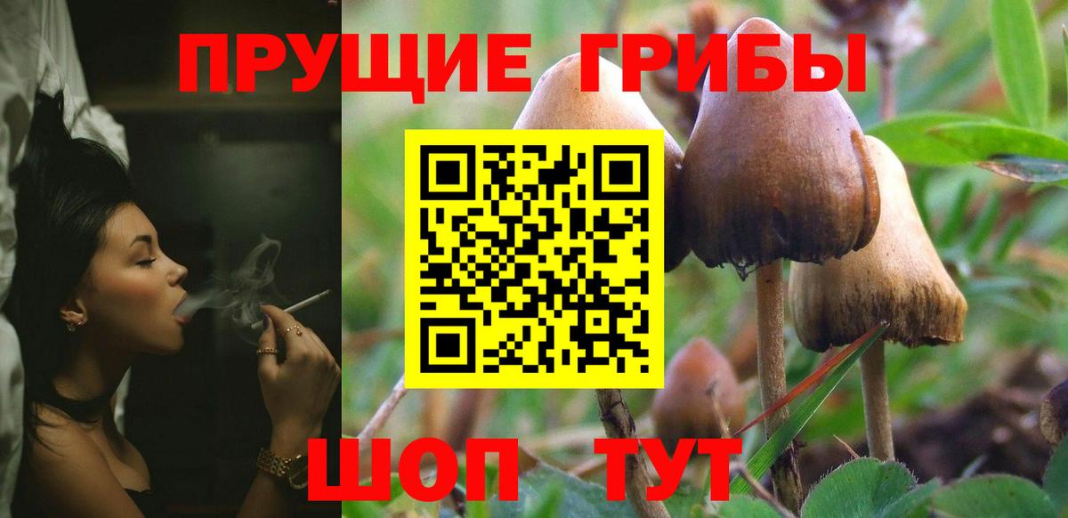 Галлюциногенные грибы GOLDEN TEACHER  Псилоцибиновые грибы Psilocybe  Вход с VPN  Бугуруслан 