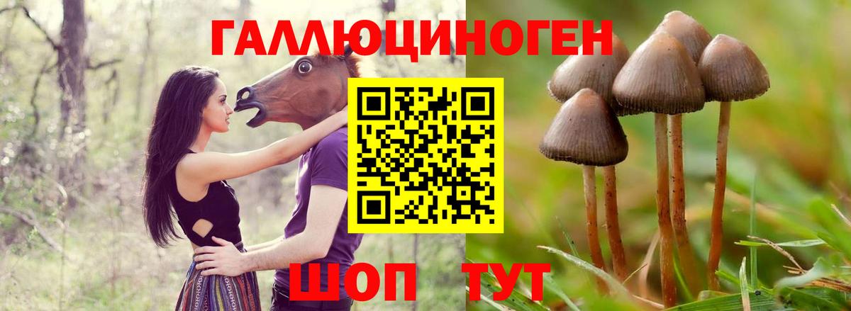 Галлюциногенные грибы GOLDEN TEACHER Бугуруслан